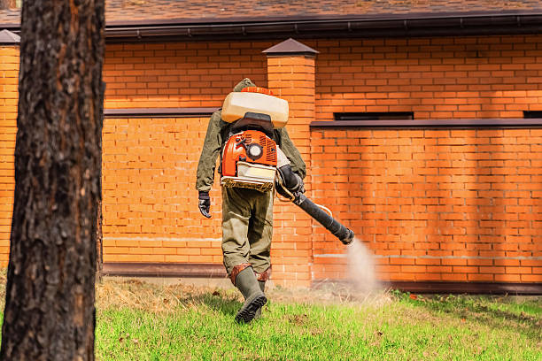Bed Bug Clearance Verification and Documentation in Keokea